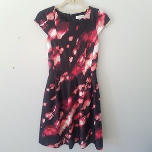 Calvin Klein Red Pink Floral Black Dress Size 2